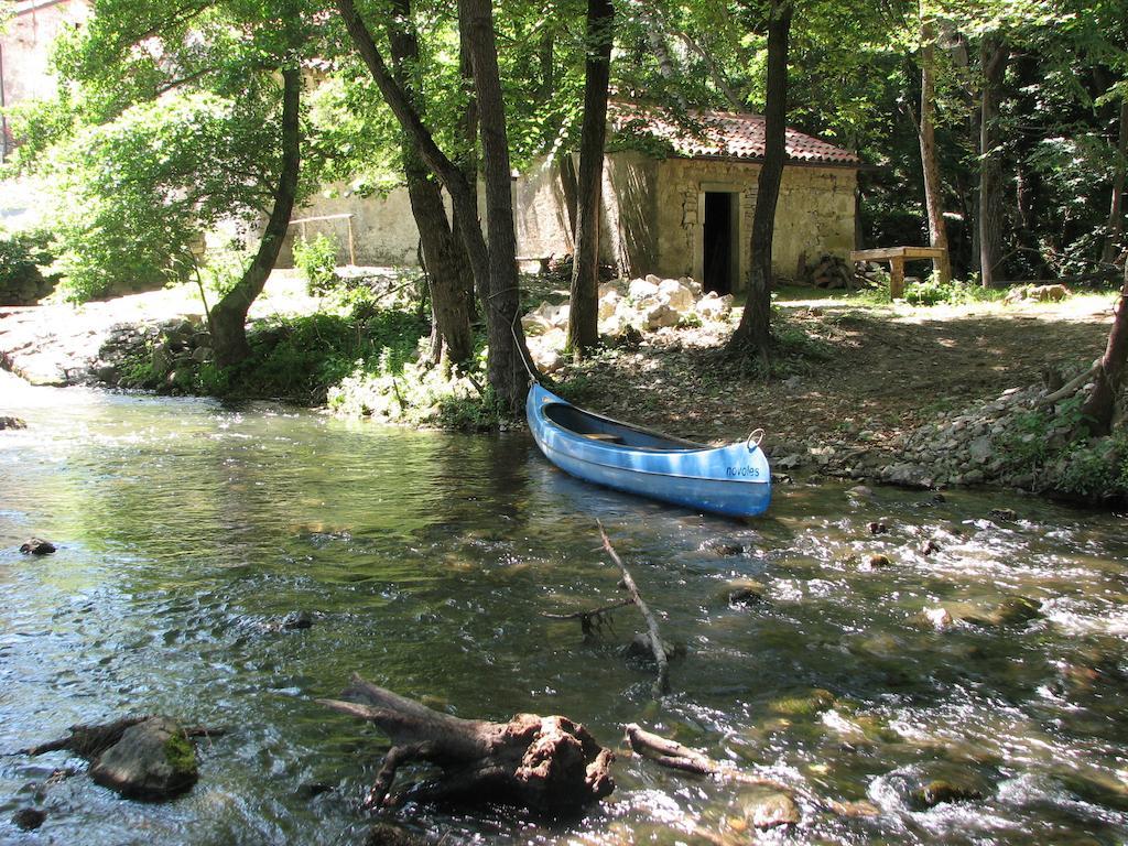 Farm stay Tourist Farm Dujceva Domacija *